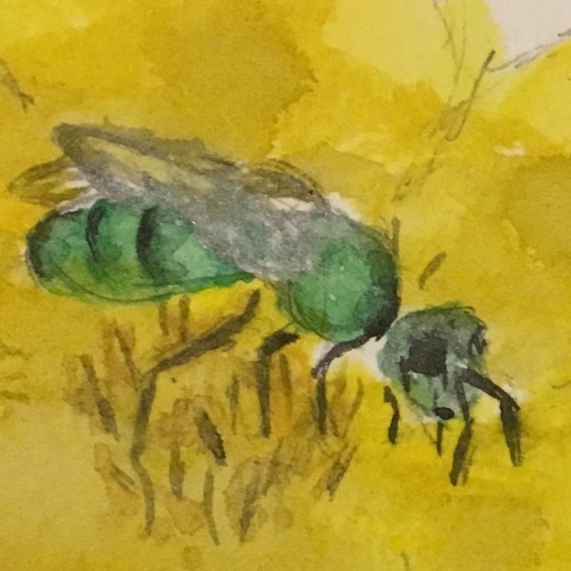 Green bee on yellow flower